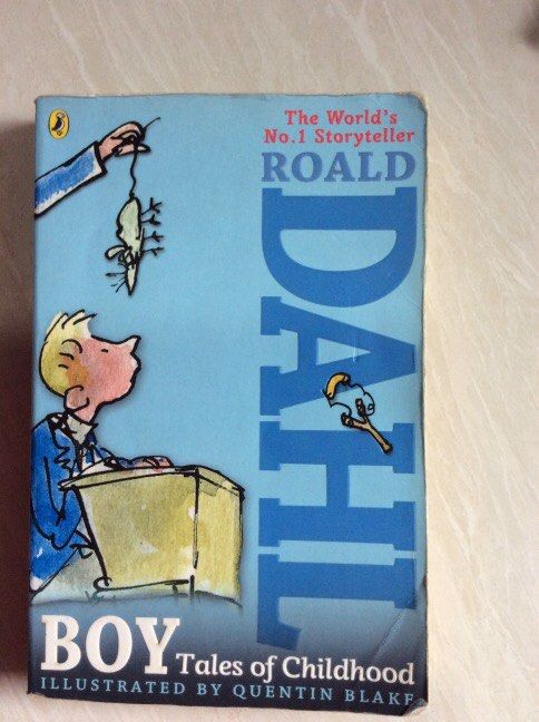 Boy tales of childhood (Roald Dahl), Hobbies & Toys, Books & Magazines ...