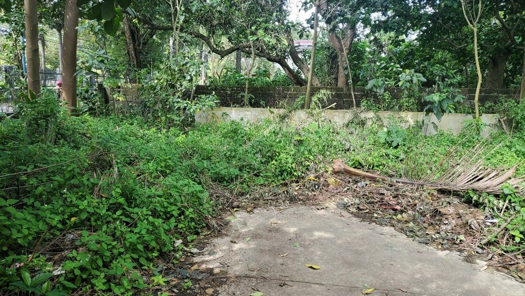 Candelaria Quezon, Property, For Sale, Lot on Carousell