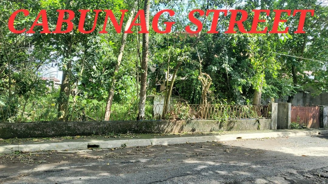 Candelaria Quezon, Property, For Sale, Lot on Carousell