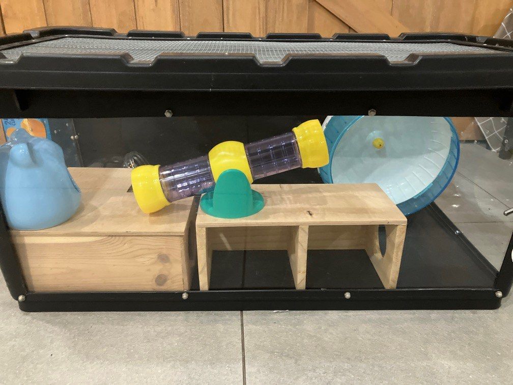 Complete Syrian Hamster setup, Pet Supplies, Homes & Other Pet ...