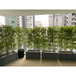 (Category: ) located in . Submitted by builtechenterprisepteltd (Listing ID 1195469685, Image 1). Description: .