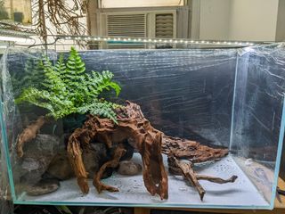 （分類：）位於 。 由 windowmoss 提交（商品編號 1195446195，圖片 1）。簡介： 。