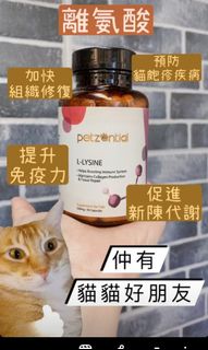 （分類：）位於 。 由 woodlandpet 提交（商品編號 1195400217，圖片 1）。簡介： 。