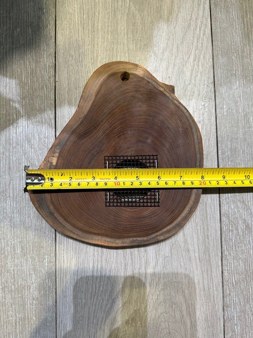 Platycerium Teak Wood Mounting Board, Furniture & Home Living, Gardening, Plants & Seeds on