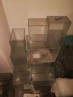 (Category: ) located in . Submitted by tanjitren (Listing ID 1195510449, Image 1). Description: .