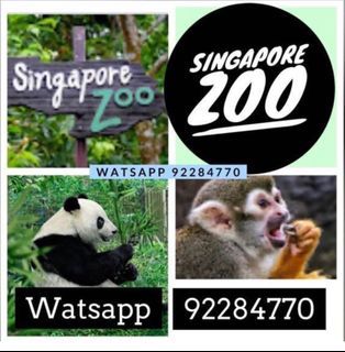 NIGHT SAFARI Singapore Zoo RIVER safari WONDER