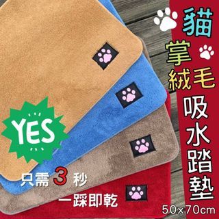 (超取一筆訂單可寄6片)現貨 貓掌絨毛吸水踏墊 只需3秒瞬間吸水 地墊 底部有止滑 踏墊 腳踏墊~可挑色