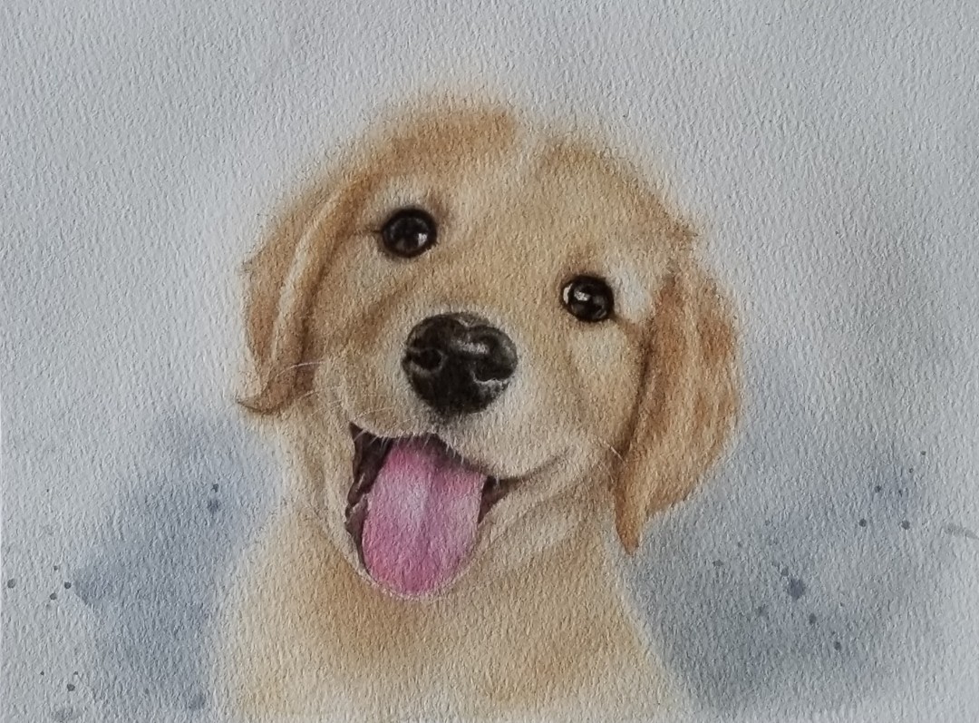 手繪寵物肖像畫 水彩 興趣及遊戲 手作 自家設計 文具及工藝 畫作及印刷品 Carousell