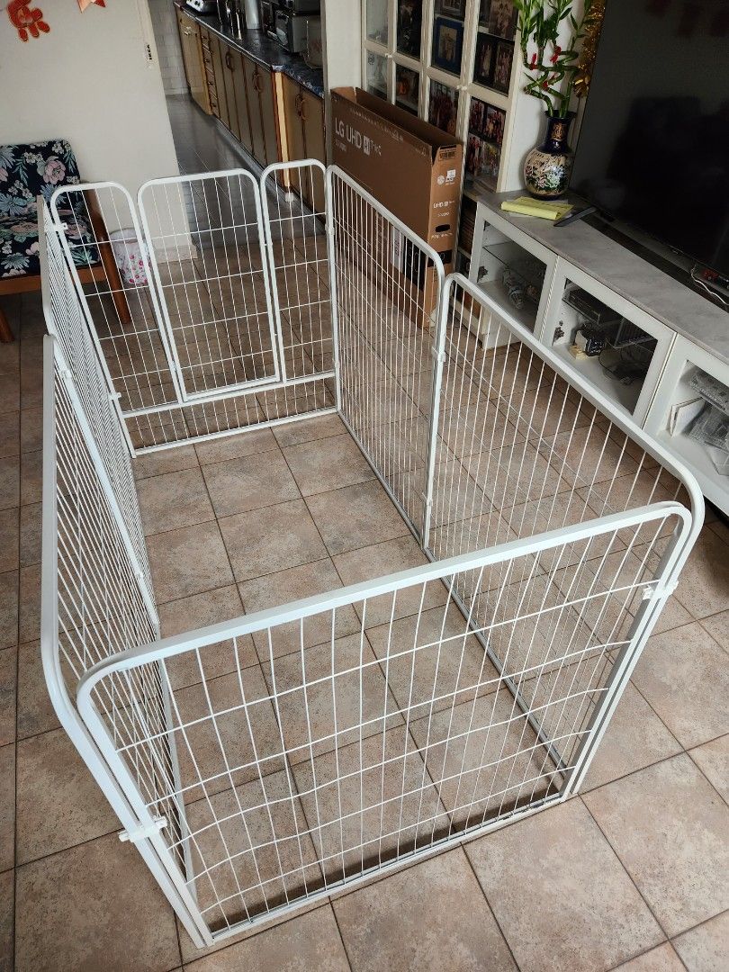 Big dog cage, Pet Supplies, Homes & Other Pet Accessories on Carousell