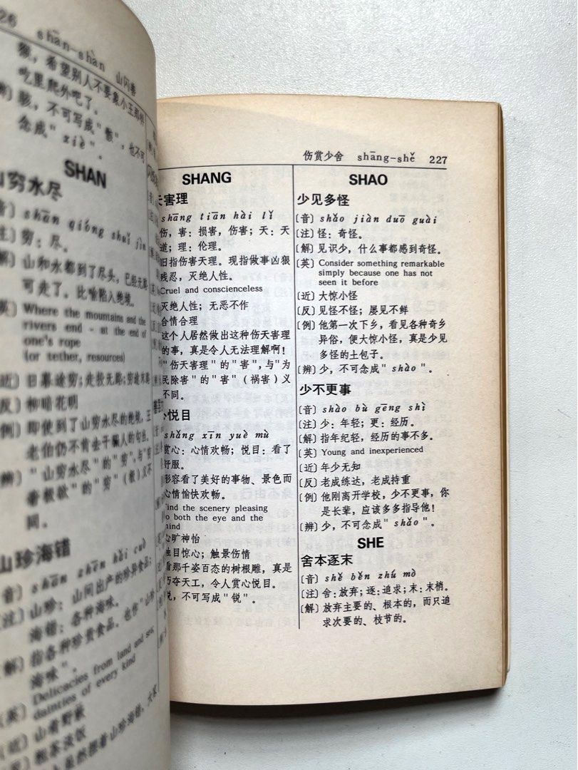 Chinese English Idioms Dictionary (new & used), Hobbies & Toys, Books