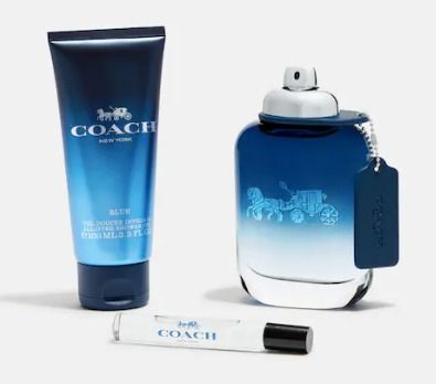 Coach blue 2025 cologne