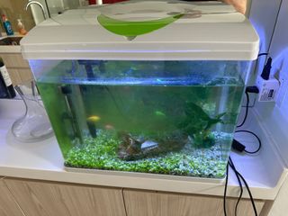 (Category: ) located in . Submitted by emildev (Listing ID 1195643964, Image 1). Description: .