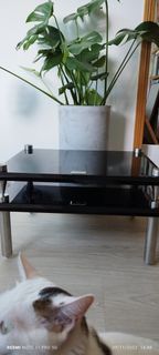 （分類：）位於 。 由 jelly922 提交（商品編號 1195680028，圖片 1）。簡介： 。