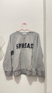 Grey Hoodie / sweater