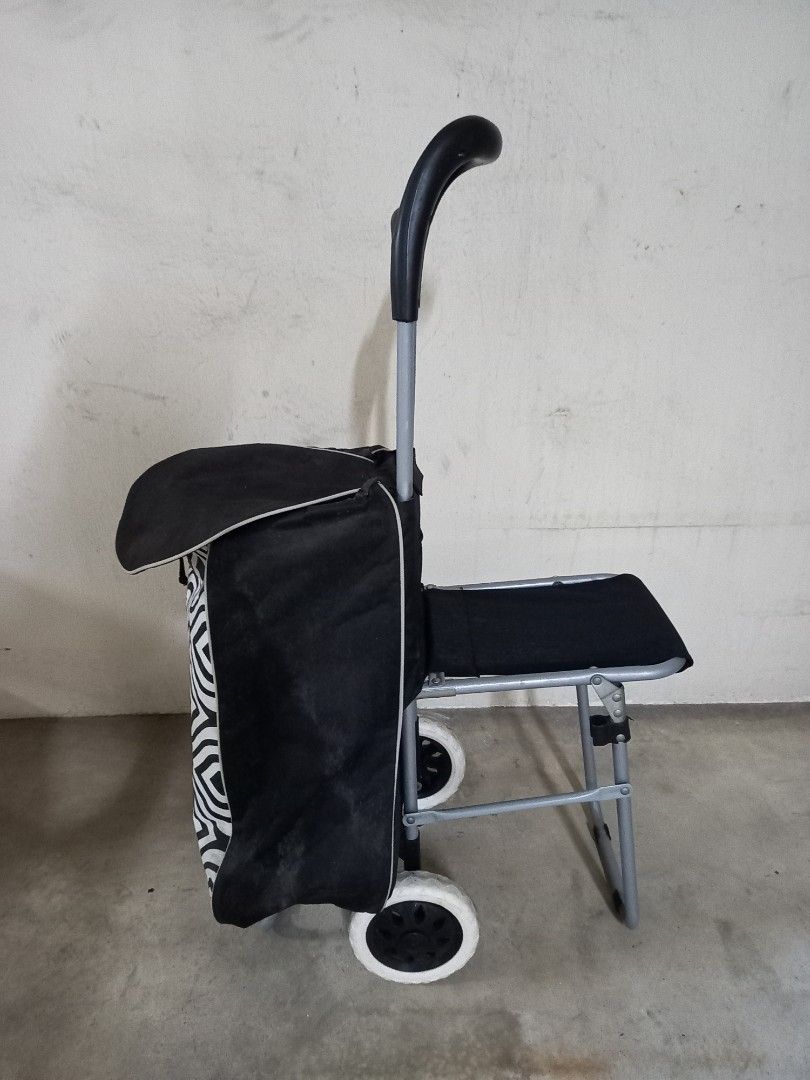Grocery shopping trolley bag, Hobbies & Toys, Travel, Travel Essentials ...