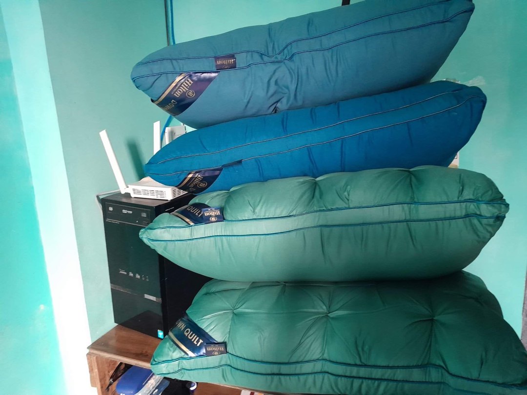 Hilton Pillow, Furniture & Home Living, Bedding & Towels on Carousell