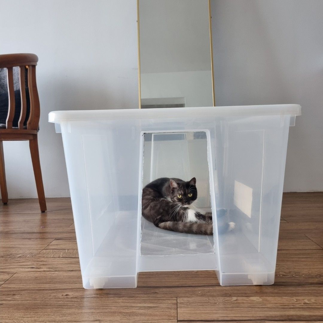 Jumbo Litter Box with Custom Ikea Transparent Box, Pet Supplies, Homes & Other Pet Accessories