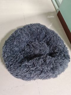 Large cat Bedding