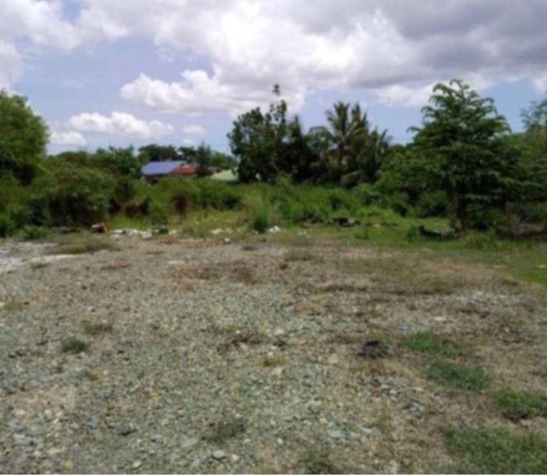 Lot for Sale in Cabanatuan Nueva Ecija, Property, For Sale, Lot on