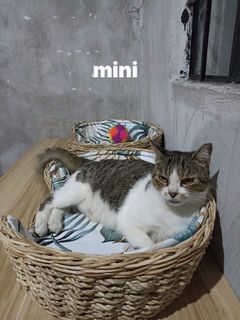 (Category: ) located in . Submitted by jli_nativecrafts (Listing ID 1195770091, Image 1). Description: .