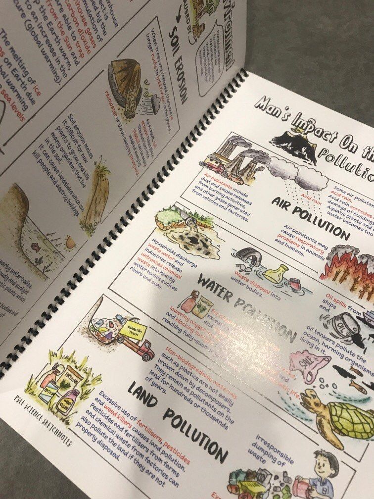 PSLE Science sketch notes, Hobbies & Toys, Books & Magazines ...
