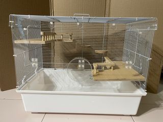 (Category: ) located in . Submitted by becauseiupgraded (Listing ID 1200391289, Image 1). Description: .
