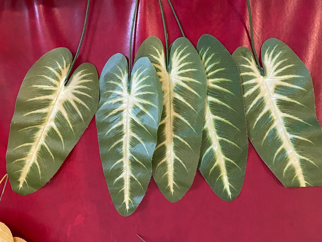 Artificial elephant ear leaves, Furniture & Home Living, Home Decor
