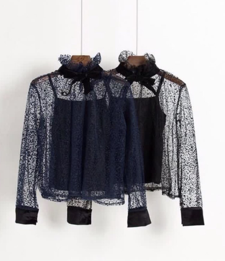Frame Sheer Sleeve Top in Black