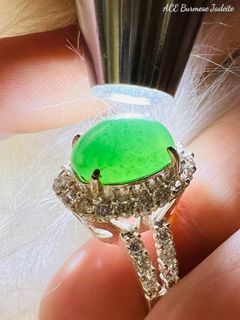 (Category: ) located in . Submitted by Jadeite89 (Listing ID 1200350539, Image 1). Description: .