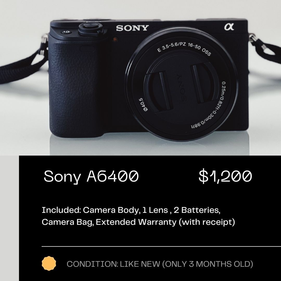 a6400 batteries