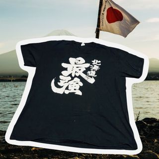 Japan 🇯🇵 T-shirt size XL