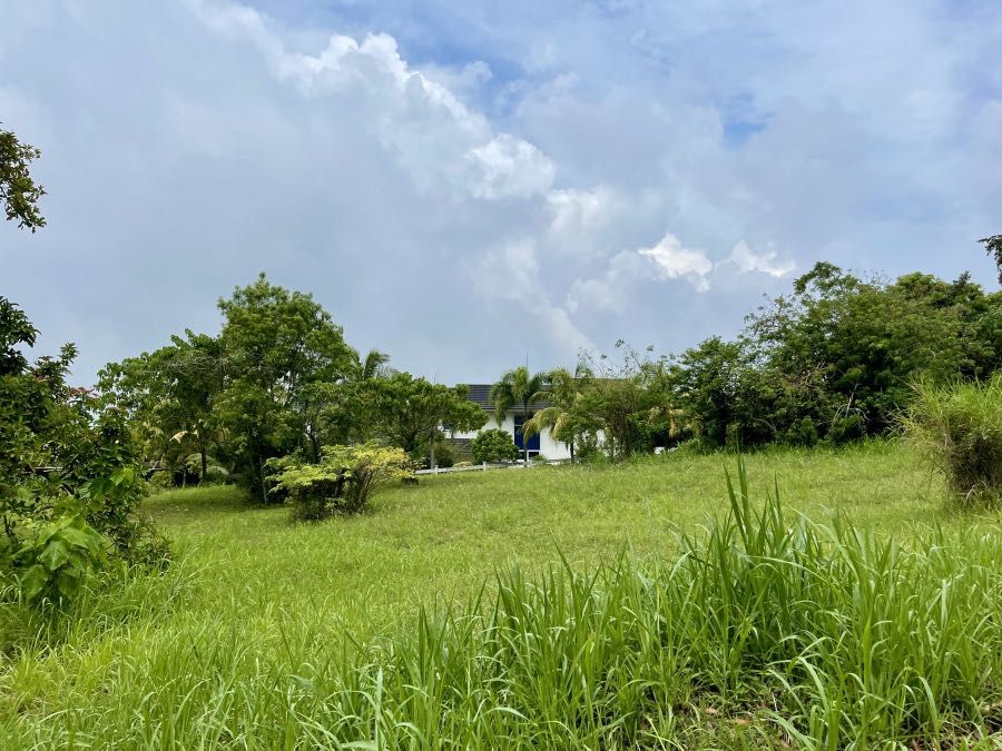 Leisure Farms Tagaytay, Property, For Sale, Lot on Carousell
