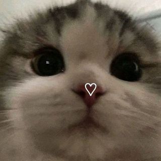 LF FRIENDS/STUDY BUDDIES ( READ DESCRIPTION THANK YOU!!)