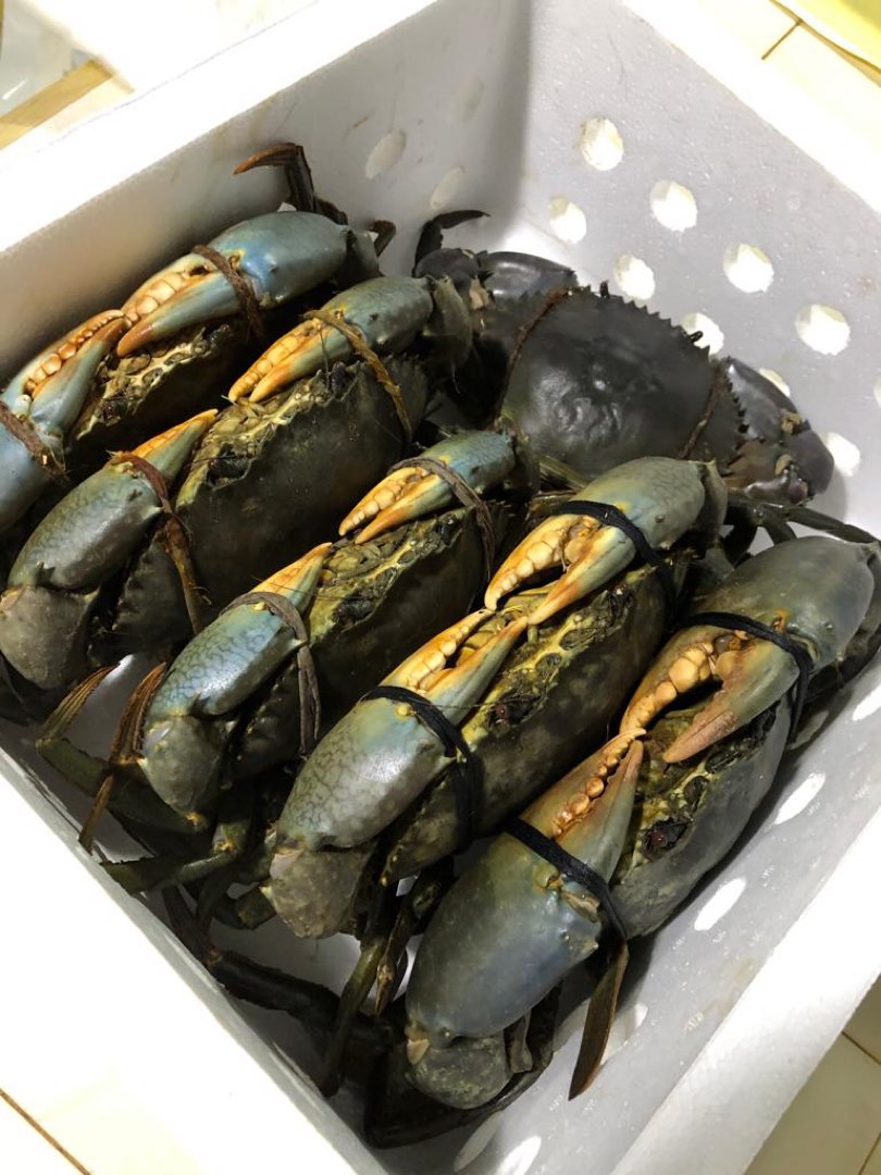 Mud Crab (Rare!!!), Food & Drinks, Local Eats on Carousell