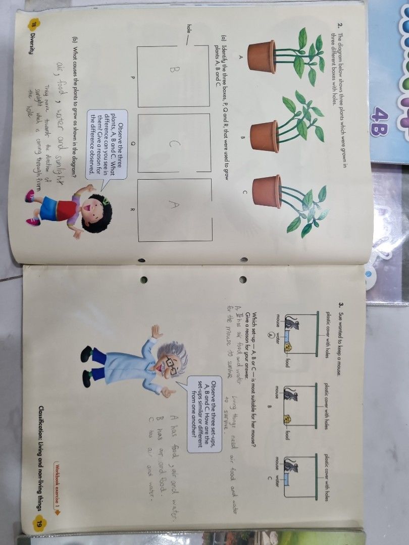 Primary 3 textbooks p3 textbooks, Hobbies & Toys, Books & Magazines ...