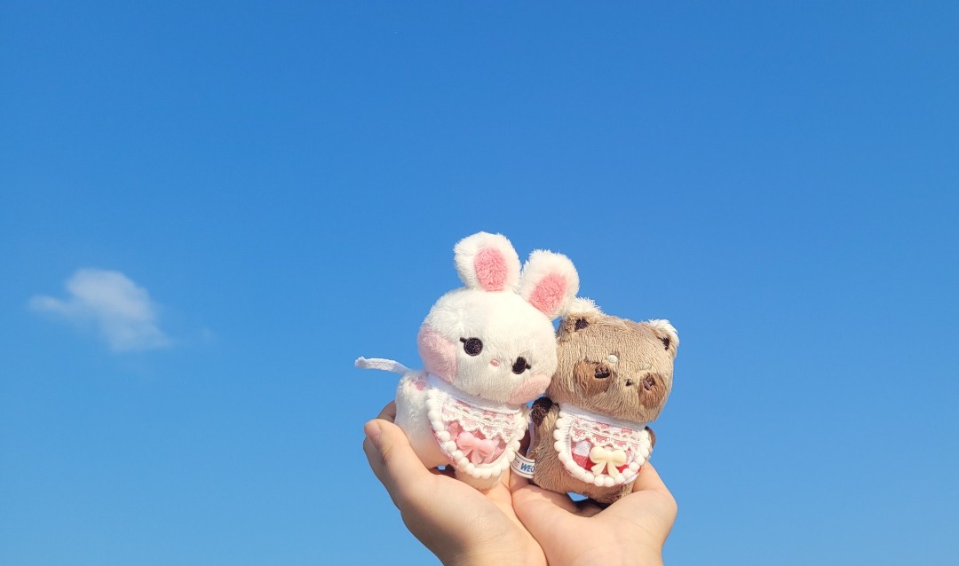 Seventeen SVT Jeonghan Jjongtokki 10cm White Bunny Rabbit Doll by @sg ...