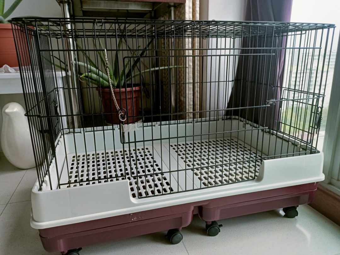 pet head conditioner for dogs