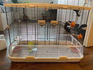 (Category: ) located in . Submitted by amelia1228 (Listing ID 1200304897, Image 1). Description: .