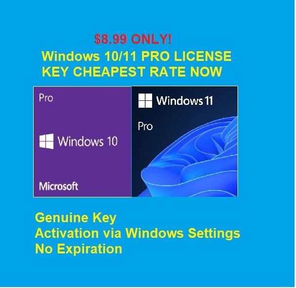 windows 10 pro key on windows 11