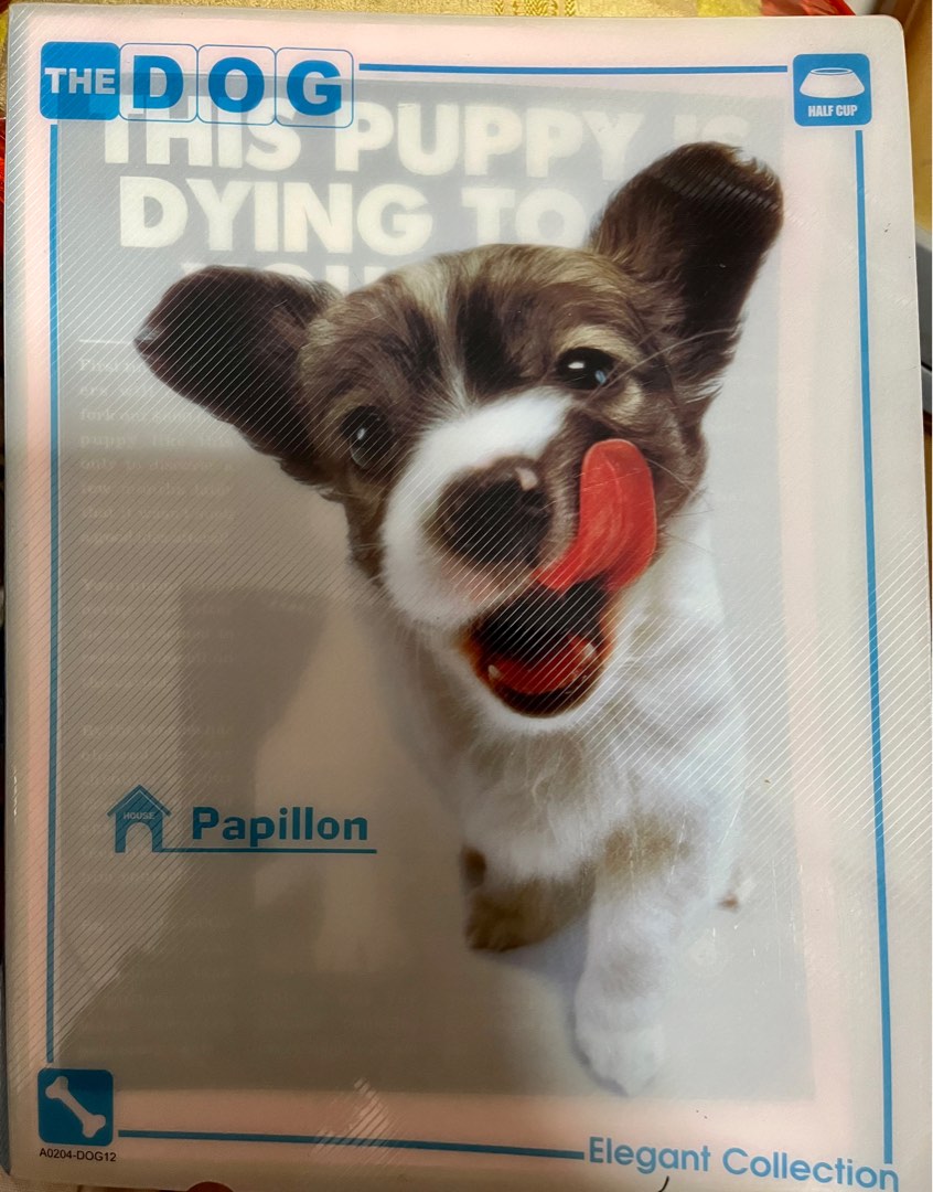 40 pages of old school scrapbooks full of newspaper/magazine prints of