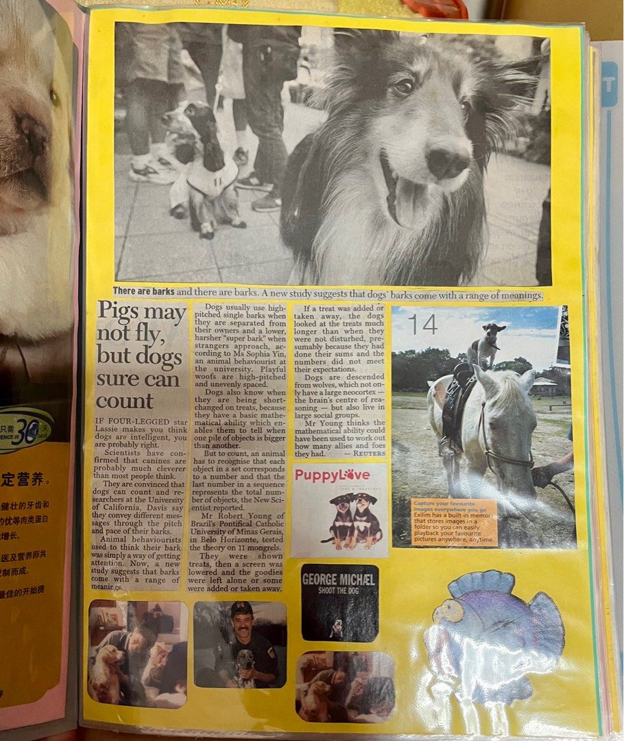 40 pages of old school scrapbooks full of newspaper/magazine prints of