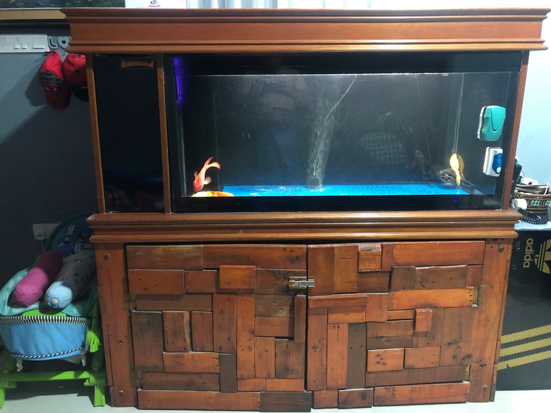Aquarium Full Set, Pet Supplies, Homes & Other Pet Accessories on Carousell