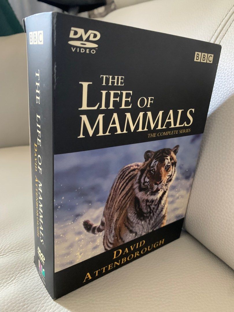 DVD - BBC記錄片，The Life of Mammals (原裝正版，6碟）, 興趣及遊戲