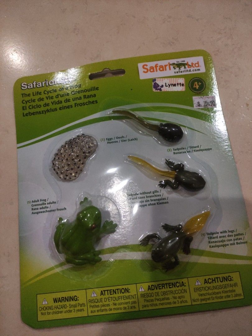 Life Cycle of a Frog, Safariology®
