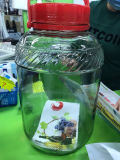 （分類：）位於 。 由 greenerworld 提交（商品編號 1202143146，圖片 1）。簡介： 。