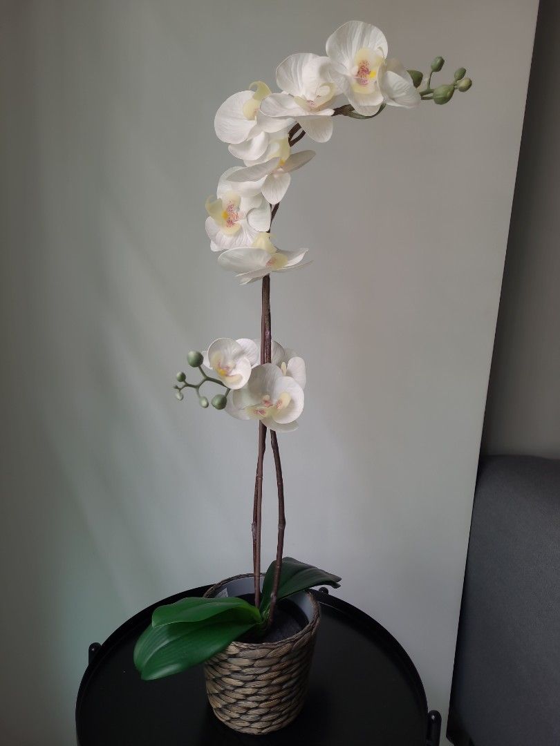 IKEA artificial orchid with pot, Furniture & Home Living, Home Decor