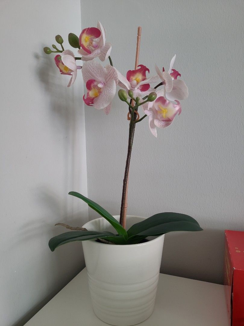 IKEA artificial orchid with pot, Furniture & Home Living, Home Decor