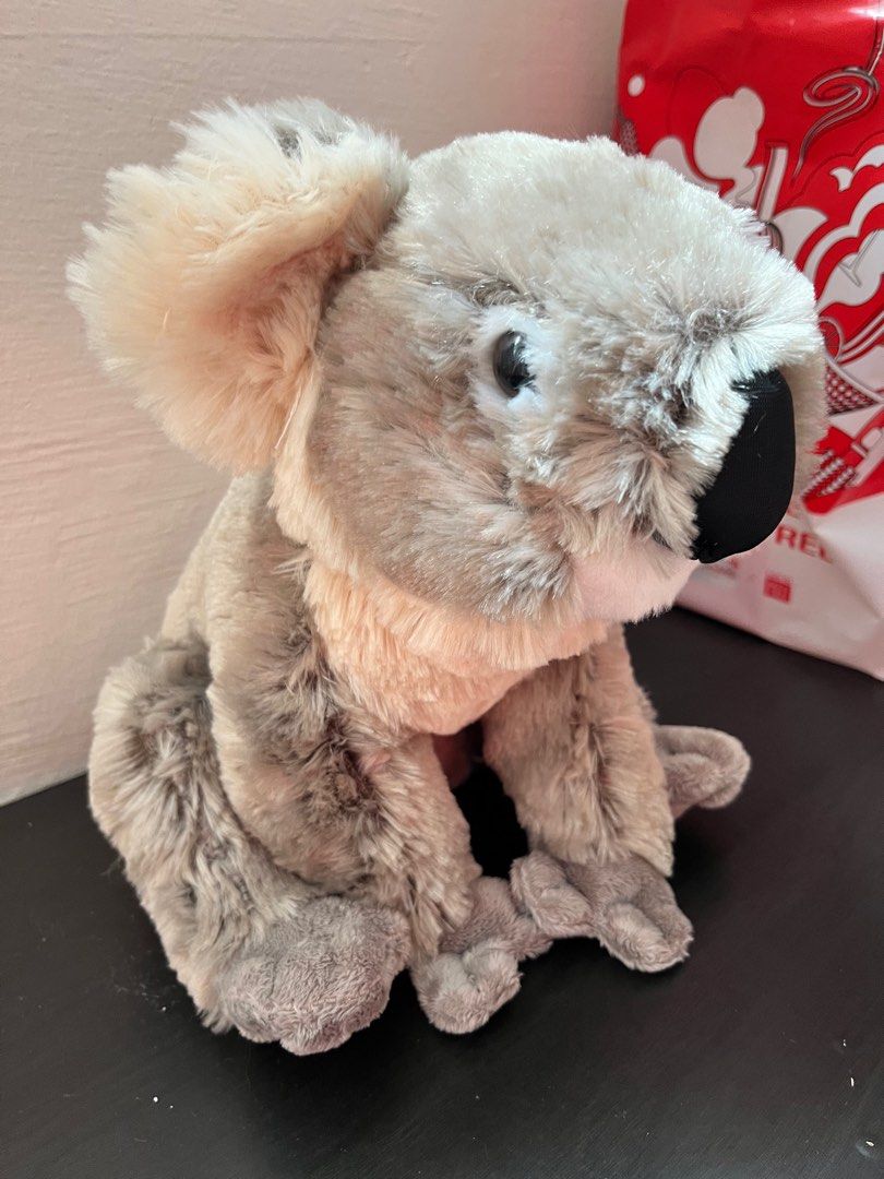 Koala bear soft toy, Hobbies & Toys, Toys & Games on Carousell