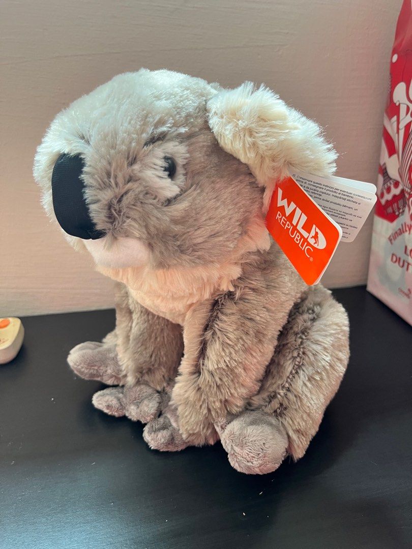 Koala bear soft toy, Hobbies & Toys, Toys & Games on Carousell