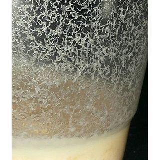 Microworm Culture